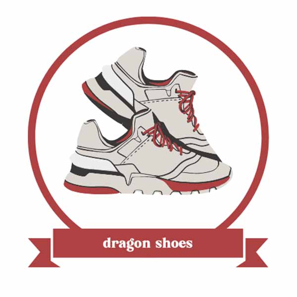 dragon shoes