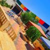 ⁦مزرعة النرجس في النيرب⁩ - الصورة ⁦5⁩