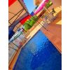 ⁦مزرعة النرجس في النيرب⁩ - الصورة ⁦2⁩