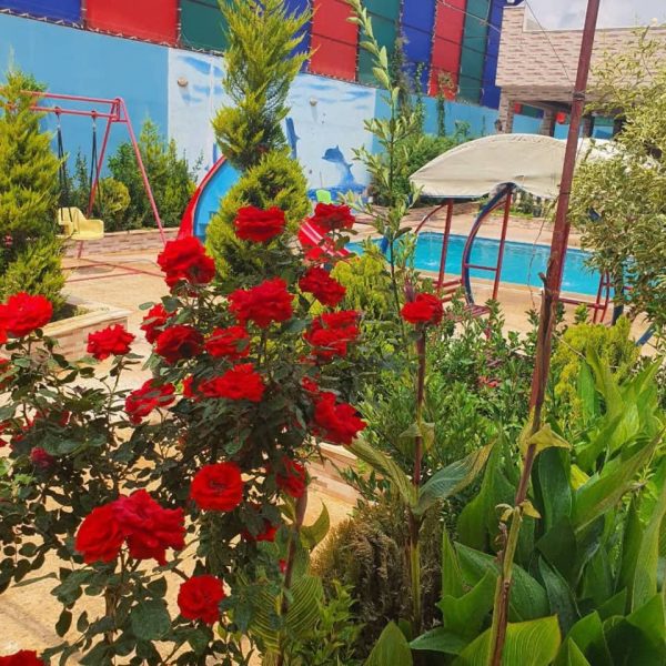 ⁦مزرعة القمة3 في النيرب⁩ - الصورة ⁦3⁩