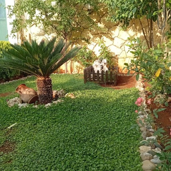 ⁦مزرعة عسل في خان العسل⁩ - الصورة ⁦5⁩