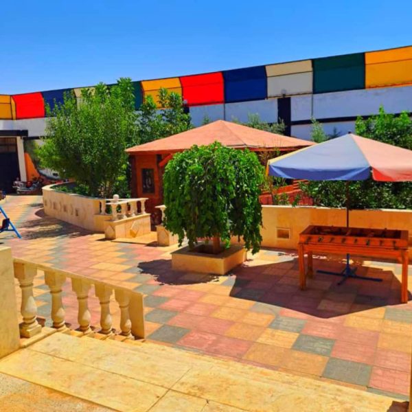 ⁦مزرعة النرجس في النيرب⁩ - الصورة ⁦6⁩