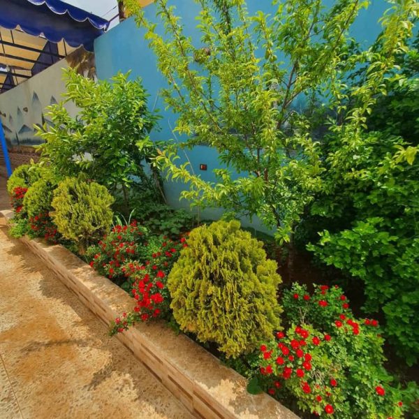 ⁦مزرعة القمة3 في النيرب⁩ - الصورة ⁦6⁩