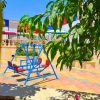 ⁦مزرعة النرجس في النيرب⁩ - الصورة ⁦10⁩