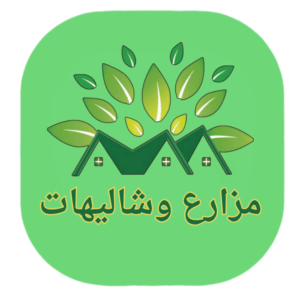 InShot ٢٠٢٥٠٧٢٣ ١٨٣١٢٤٧٩١