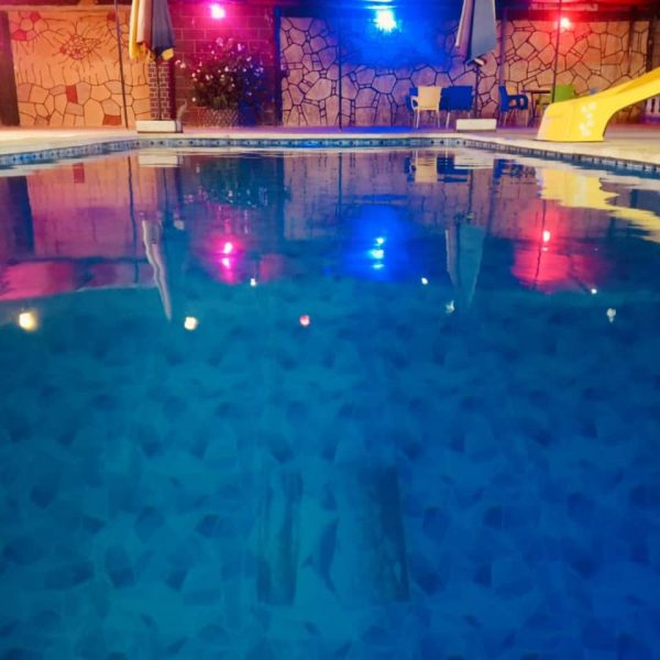 ⁦مزرعة أبو الفوز(2)في النيرب⁩ - الصورة ⁦12⁩