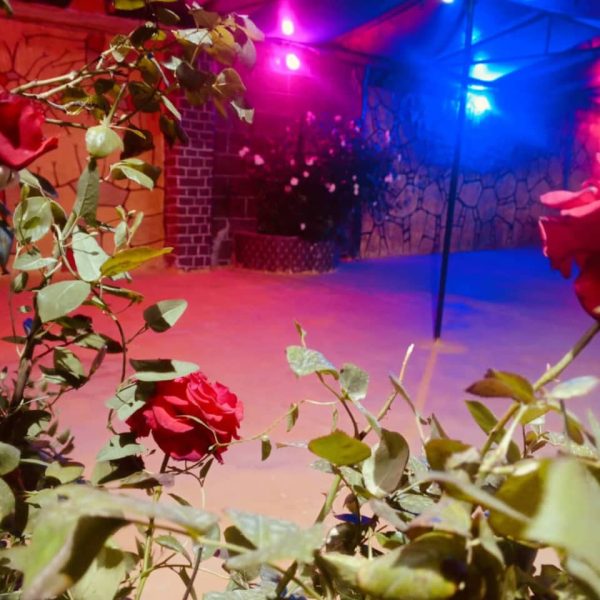 ⁦مزرعة أبو الفوز(2)في النيرب⁩ - الصورة ⁦13⁩