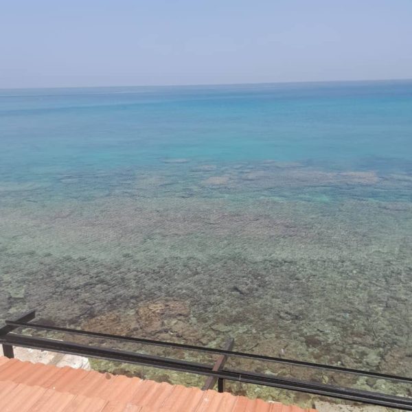⁦شاليه غرفتين وصالون⁩ - الصورة ⁦2⁩