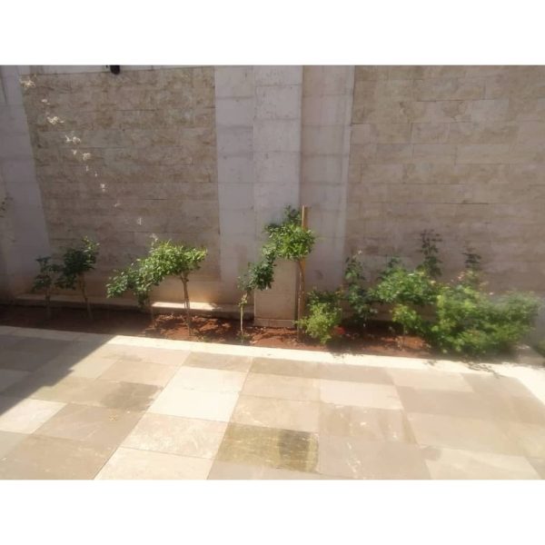 ⁦مزرعة غاردينيا⁩ - الصورة ⁦26⁩