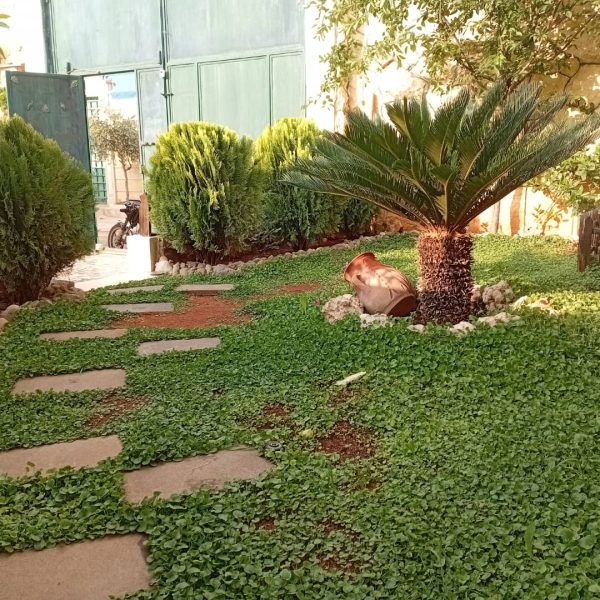 ⁦مزرعة عسل في خان العسل⁩ - الصورة ⁦12⁩