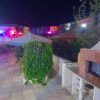 ⁦مزرعة النرجس في النيرب⁩ - الصورة ⁦16⁩