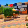 ⁦مزرعة النرجس في النيرب⁩ - الصورة ⁦19⁩