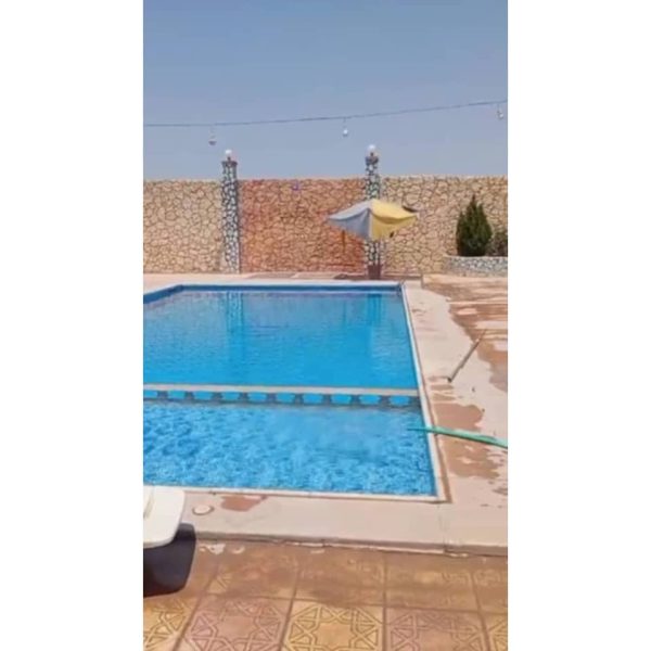 ⁦مزرعة نرجس في النيرب⁩ - الصورة ⁦1⁩