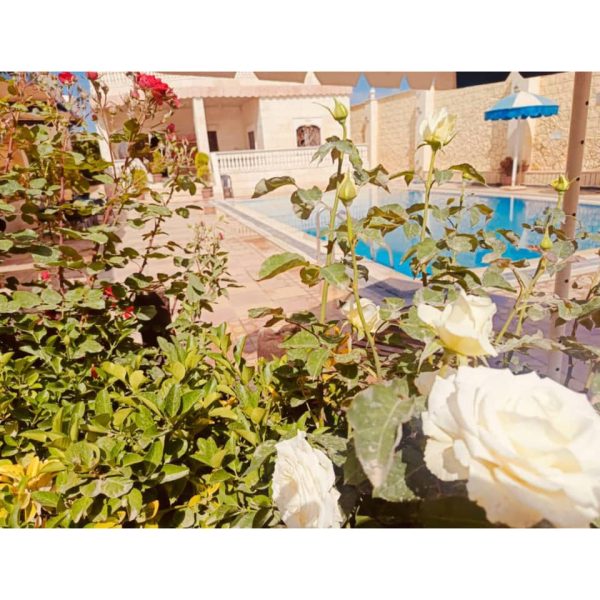 ⁦مزرعة هنادي1 في النيرب⁩ - الصورة ⁦2⁩
