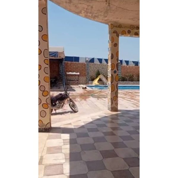 ⁦مزرعة نرجس في النيرب⁩ - الصورة ⁦3⁩