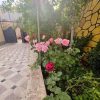 ⁦مزرعة ميرو1 في النيرب⁩ - الصورة ⁦3⁩