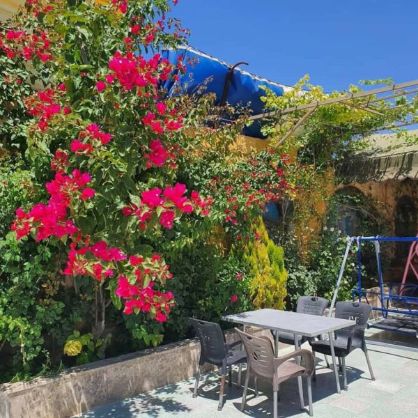⁦مزرعة أبو شنب في النيرب⁩ - الصورة ⁦7⁩