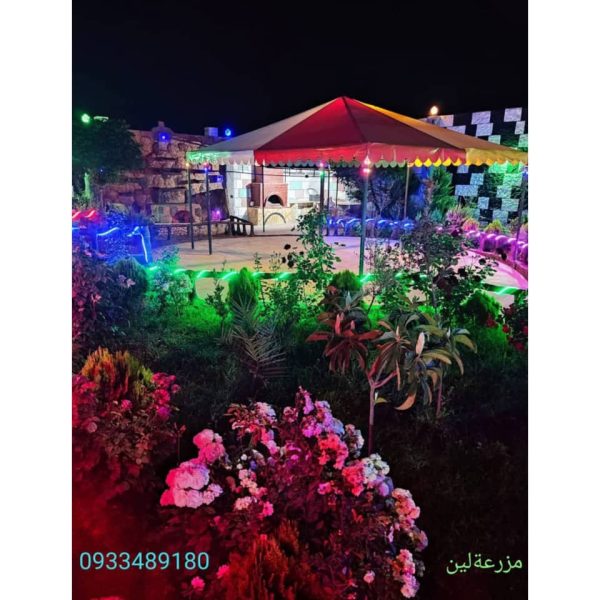 ⁦مزرعة لين للإيجار اليومي والأسبوعي⁩ - الصورة ⁦12⁩