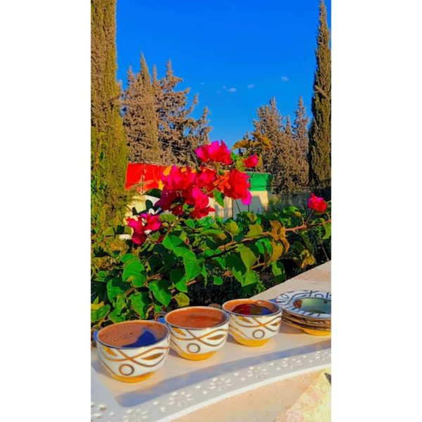 ⁦مزرعة حمودة1 في خان العسل⁩ - الصورة ⁦19⁩