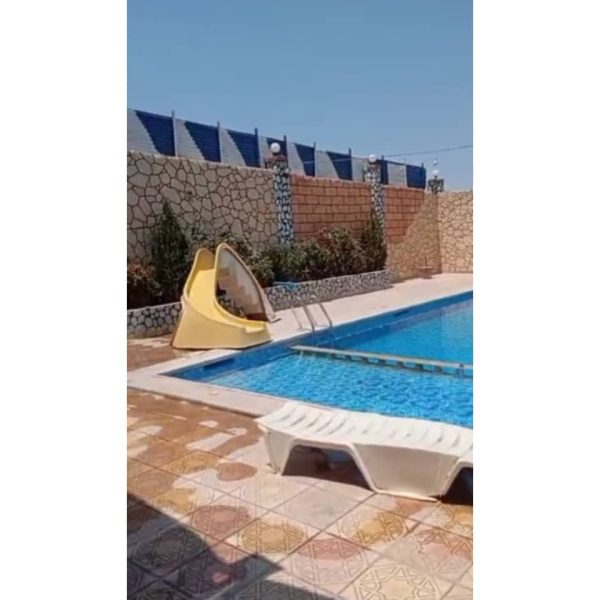⁦مزرعة نرجس في النيرب⁩ - الصورة ⁦8⁩