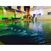 ⁦مزرعة هنادي1 في النيرب⁩ - الصورة ⁦13⁩