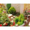 ⁦مزرعة هنادي1 في النيرب⁩ - الصورة ⁦14⁩