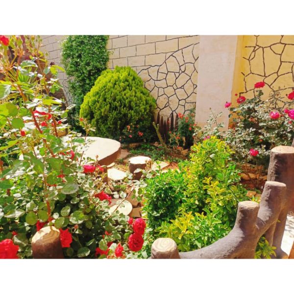 ⁦مزرعة هنادي1 في النيرب⁩ - الصورة ⁦14⁩