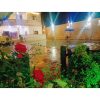 ⁦مزرعة هنادي1 في النيرب⁩ - الصورة ⁦18⁩