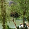 ⁦مزرعة الحسناوي في دركوش⁩ - الصورة ⁦10⁩