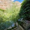 ⁦مزرعة الحسناوي في دركوش⁩ - الصورة ⁦13⁩