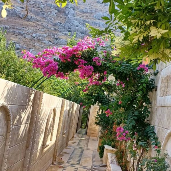 ⁦مزرعة الحسناوي في دركوش⁩ - الصورة ⁦12⁩