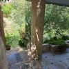 ⁦مزرعة الحسناوي في دركوش⁩ - الصورة ⁦21⁩