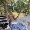 ⁦مزرعة الحسناوي في دركوش⁩ - الصورة ⁦26⁩