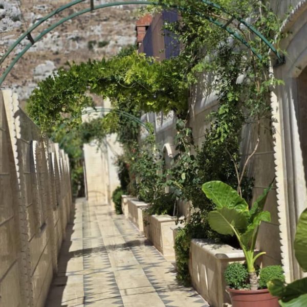 ⁦مزرعة الحسناوي في دركوش⁩ - الصورة ⁦35⁩