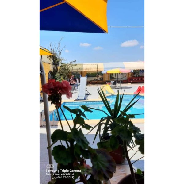 ⁦مزرعة أبو شنب في النيرب⁩ - الصورة ⁦15⁩