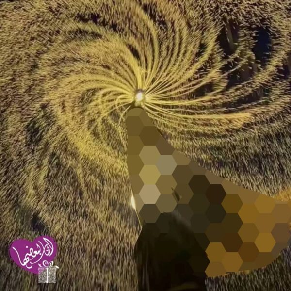 ⁦عصا نافورة الماء⁩ - الصورة ⁦6⁩
