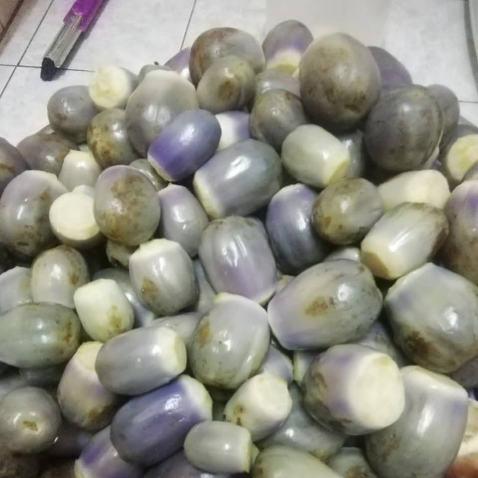 WhatsApp Image 2025 09 18 at 4.29.21 PM 1