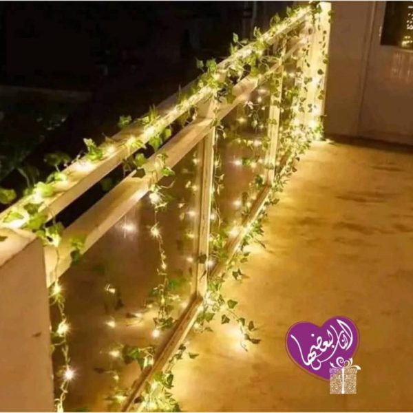 ⁦حبل ضوء أخضر⁩ - الصورة ⁦4⁩