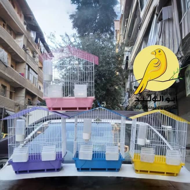 4 قفص طيور ملون - الصورة 1