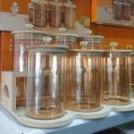 WhatsApp Image 2025 11 05 at 5.37.22 PM 1