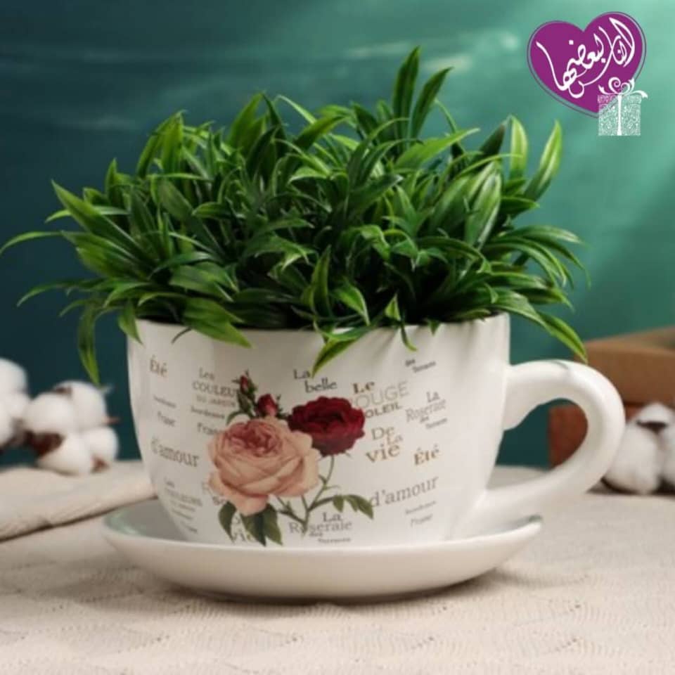 WhatsApp Image 2025-11-16 at 12.41.03 PM (1) حوض زراعة فخار - الصورة 1