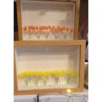 WhatsApp Image 2025 11 19 at 3.07.31 AM