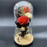 WhatsApp Image 2025 11 20 at 3.36.41 AM 1