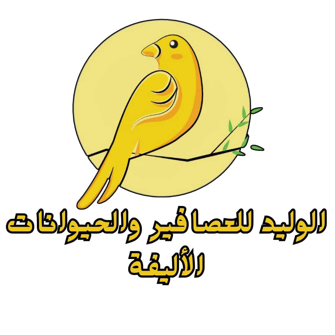 photo 4 2025 11 29 20 59 57