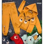 WhatsApp Image 2025 11 27 at 6.37.46 PM 1