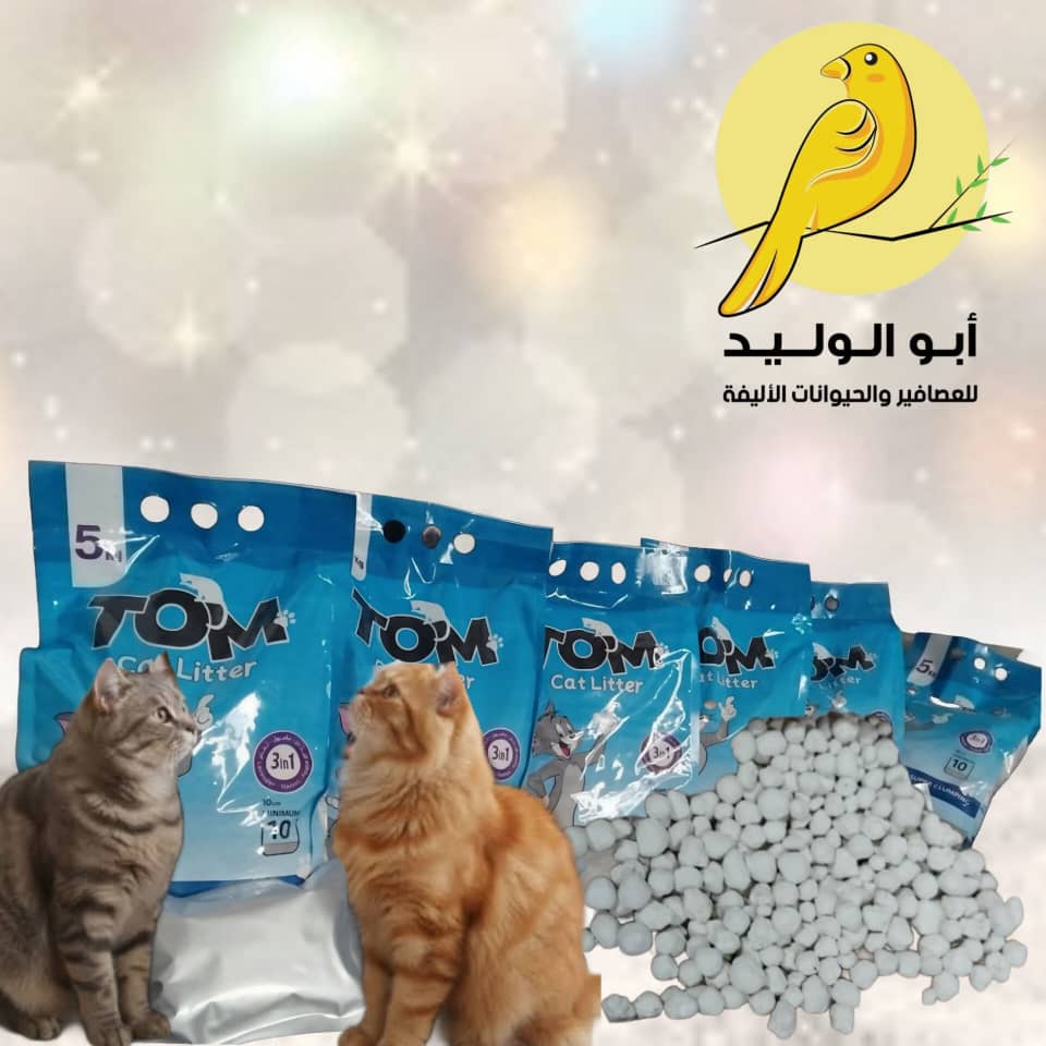 WhatsApp Image 2025-12-19 at 4.21.03 PM رمل قطط TOM - الصورة 1