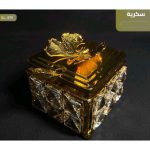 WhatsApp Image 2025 12 18 at 8.20.11 PM