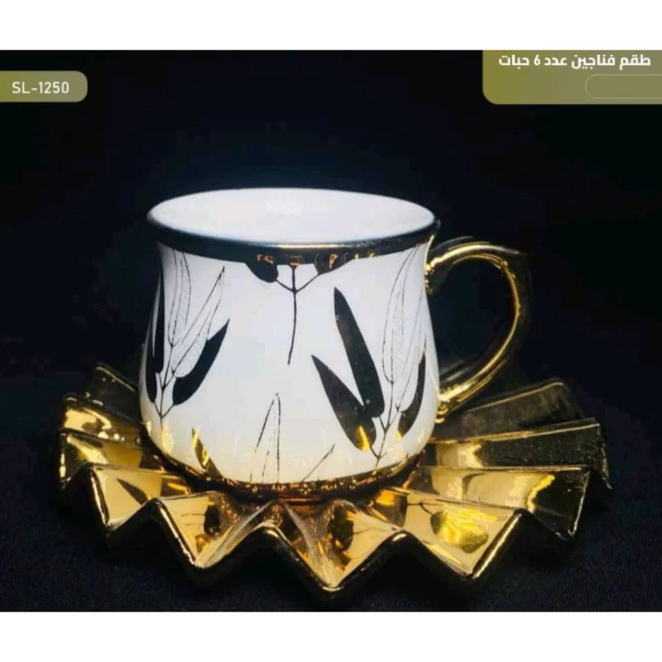 WhatsApp Image 2026 01 15 at 3.55.03 PM 2