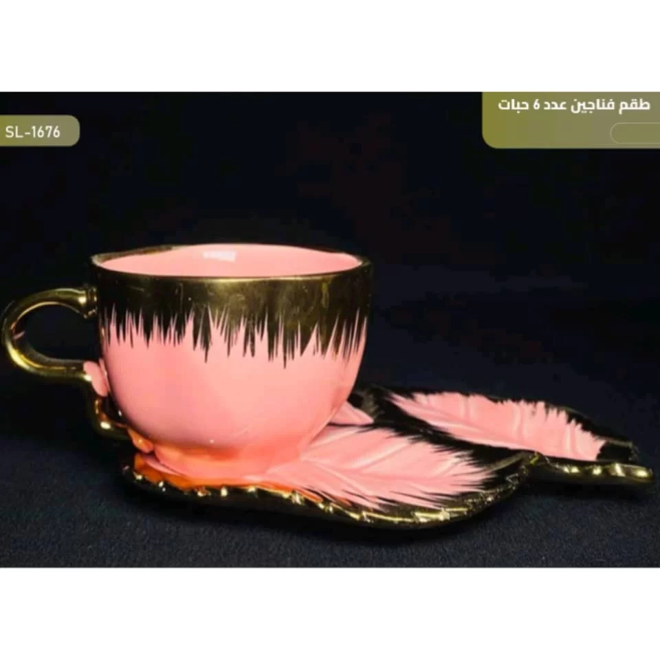 WhatsApp Image 2026 01 15 at 3.57.00 PM