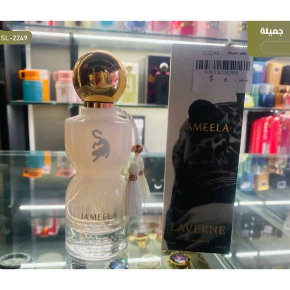 WhatsApp Image 2026 01 15 at 4.05.18 PM 1